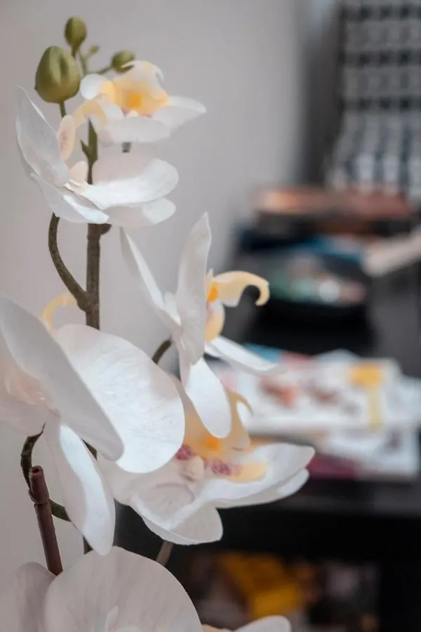 Bed & Breakfast Civico 8 B&B - Appartamento Parma